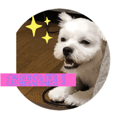 jinjin_20201231172908