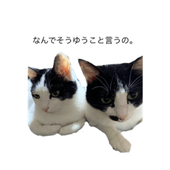 ASUKA_20201231172830