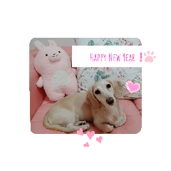 Rose is welcoming year 2021