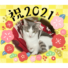 AKIKO_20201231223828