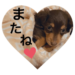 risa_20201231230436