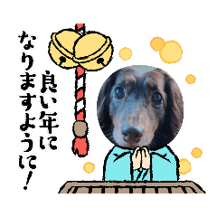 yayoi_20201231234959