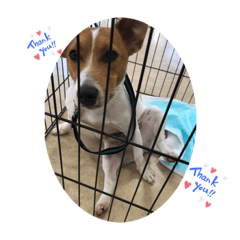 ASUKA_20210101001309