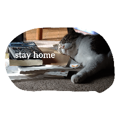 necozuki_20210101001733