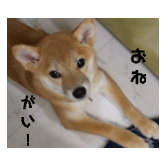 HARUNA_20210101004421