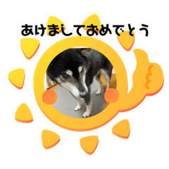 sachi's choice_20210101070710