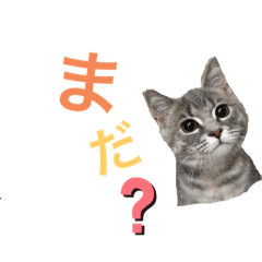 miyuu_20201231181718