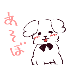 Friendly White Toy Poodle