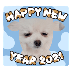 ALICE_20201231201159