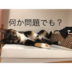 mochi_20201231183141