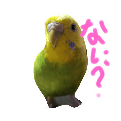 tetsu_20201231224701