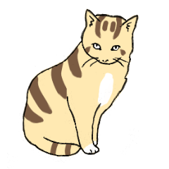 brown white cat diary