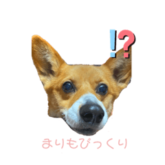 ayumi_20210101022223