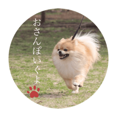 nanami_20210101015752