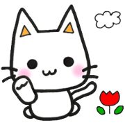 White cat chiro