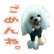 coco,miL,love's sticker