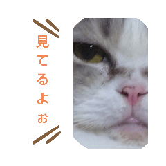 miyuu_20210101075534