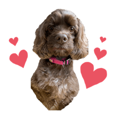 ayumi_20210101115000