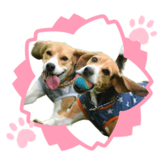 Natsumi_20201231182503