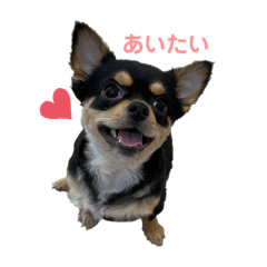 risa_20210101143807
