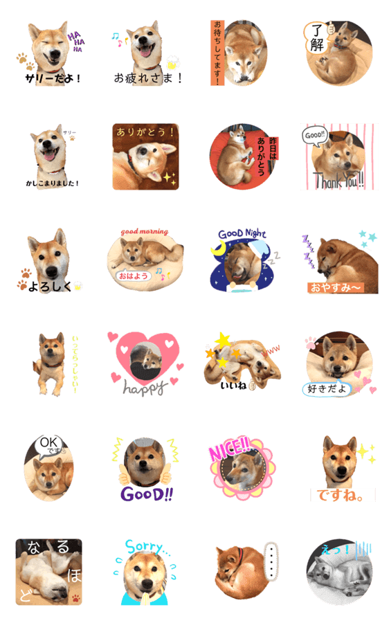 芝犬のサリー Lineクリエイターズスタンプ Stamplist