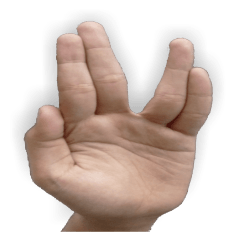 Gesture Hand 2