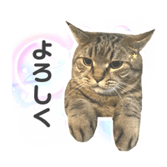 arisa_20210101154600