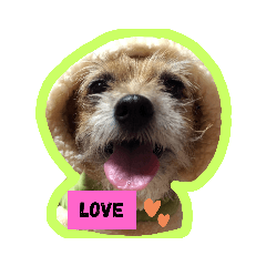 CHERRY_20210101174913