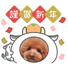 saori_20210101162522