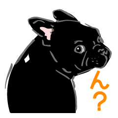 EBISU the french bulldog