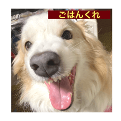 CHIE_20210101211317