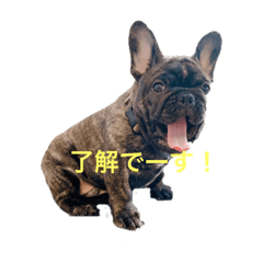 marumaru-2021