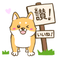 【台湾語＆日本語】看板犬