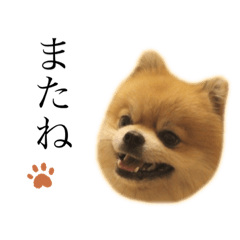 nanami_20210102071502