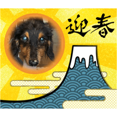 yuka_20210101170529
