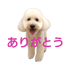 NOZOMI_20210101173237