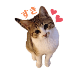 Risa_20210101191046