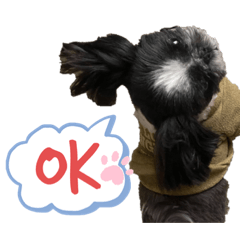 Nozomi_20210102083417