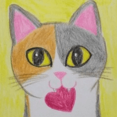 heart cat cat