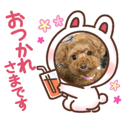 akiko_20210101203225