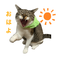 suzu_20210101204021