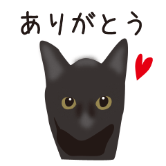 くろねこ黒猫