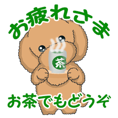 TOY POODLE TOY POODLE V3(Animation)