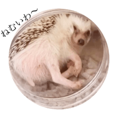 saori_20210101214839