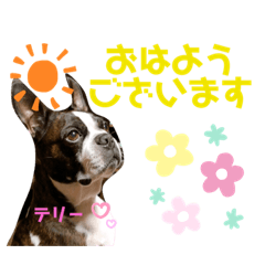 MIZUKI_20210101202746