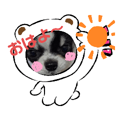 yugo_20210102134226