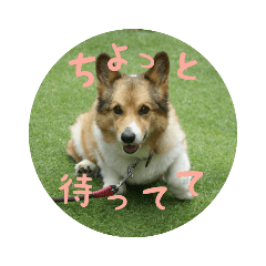 chie_20210102005540
