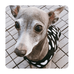 cocoa_20210101233310