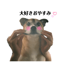 Ouko_for fun