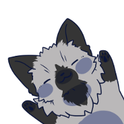 Silver Fox2